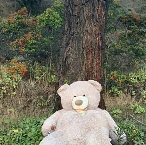 Meet your Posher, Dave